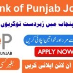 Bank of Punjab Jobs