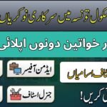 Daanish Schools Taunsa Jobs 2026