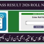 8th Class Result 2026