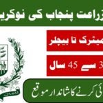 Agriculture Department Punjab Jobs 2026