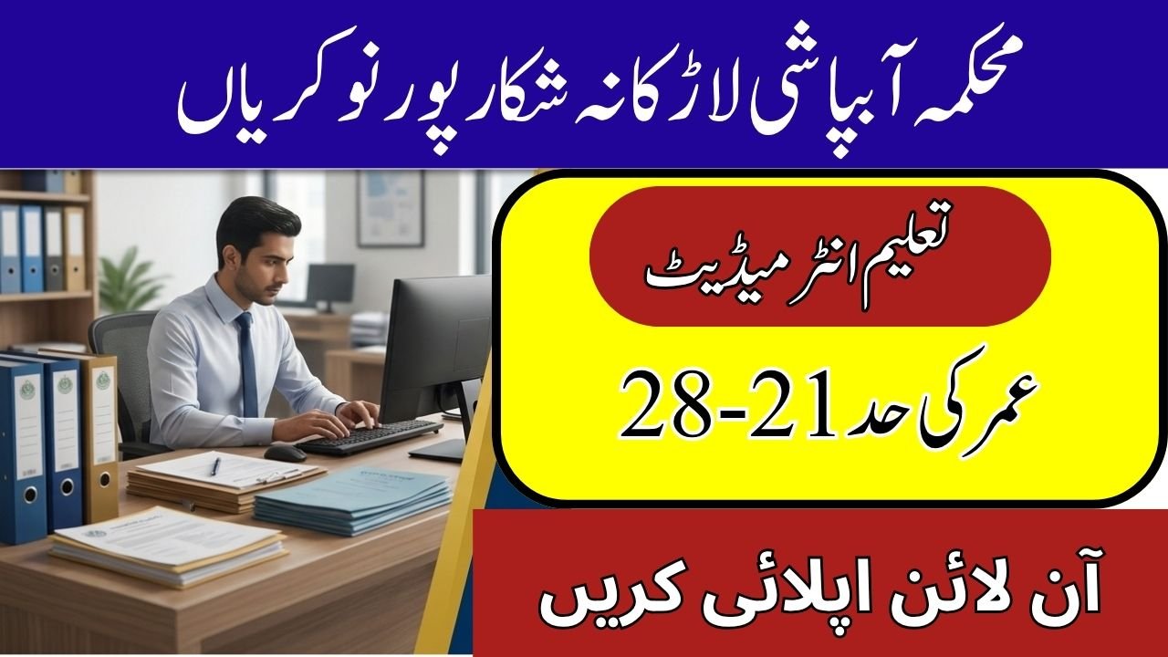  Junior Clerk Jobs