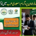 Maryam Nawaz Hunarmand Naujawan Program Jobs 2026