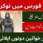 PERA Punjab Jobs 2026
