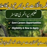 Punjab Forest Department Jobs 2026