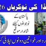 WAPDA Consultant Jobs 2026