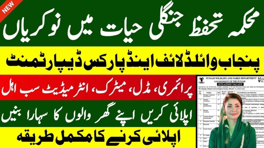 Director General Wildlife & Park Lahore Jobs 2026 – Punjab Wildlife Department Recruitment