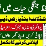 Director General Wildlife & Park Lahore Jobs 2026 – Punjab Wildlife Department Recruitment